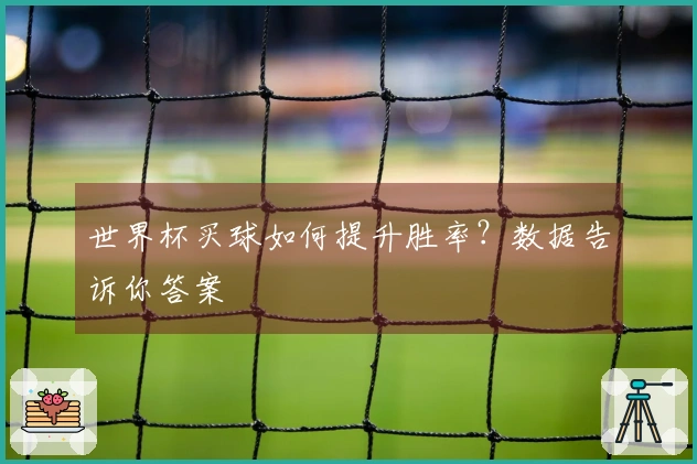 世界杯买球如何提升胜率？数据告诉你答案