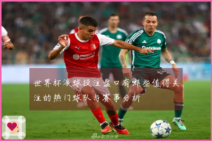世界杯滚球投注盘口有哪些值得关注的热门球队与赛事分析