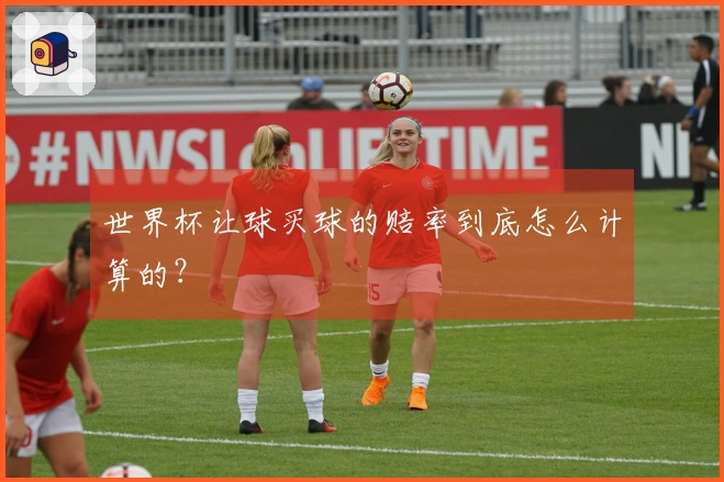 世界杯让球买球的赔率到底怎么计算的？