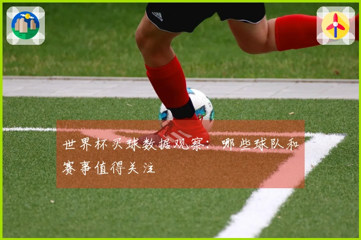 世界杯买球数据观察：哪些球队和赛事值得关注