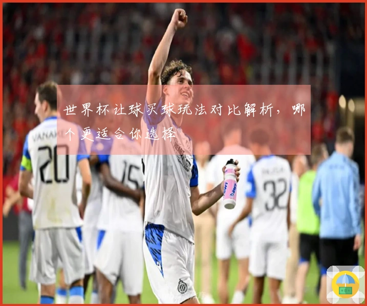 世界杯让球买球玩法对比解析，哪个更适合你选择