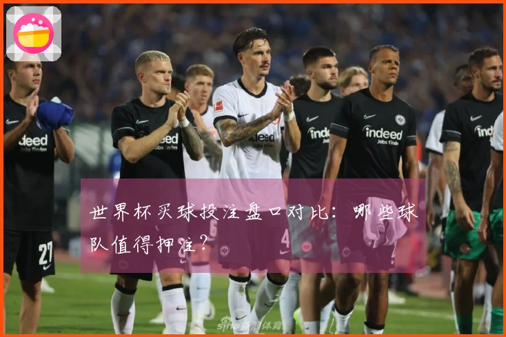 世界杯买球投注盘口对比：哪些球队值得押注？