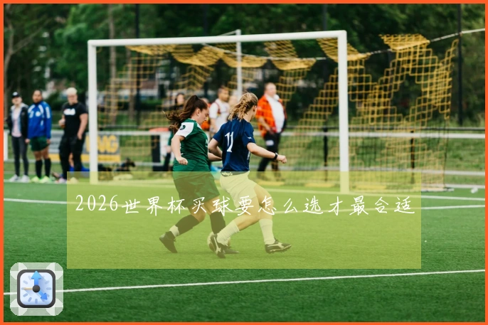 2026世界杯买球要怎么选才最合适