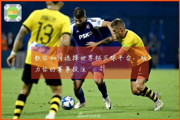 教你如何选择世界杯买球平台，助力你的赛事投注