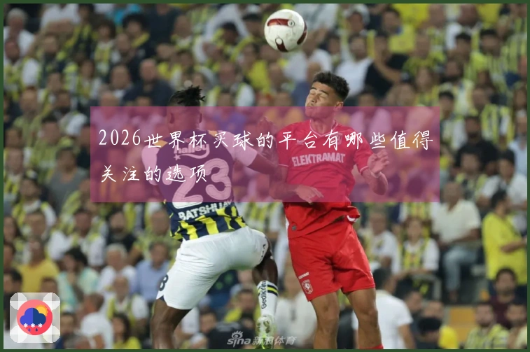 2026世界杯买球的平台有哪些值得关注的选项
