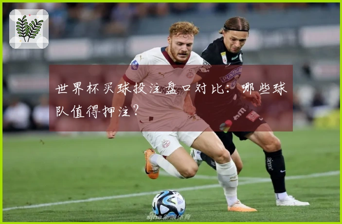 世界杯买球投注盘口对比：哪些球队值得押注？